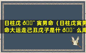 日柱戊 🐯 寅男命（日柱戊寅男命大运走己丑戊子是什 🐴 么库）